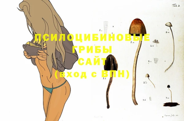 гидра Балабаново