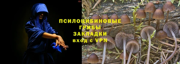 прущие крисы Сосновоборск