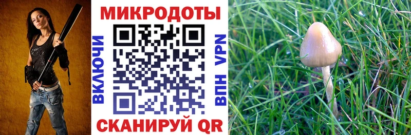 Галлюциногенные грибы Magic Shrooms  Зима 