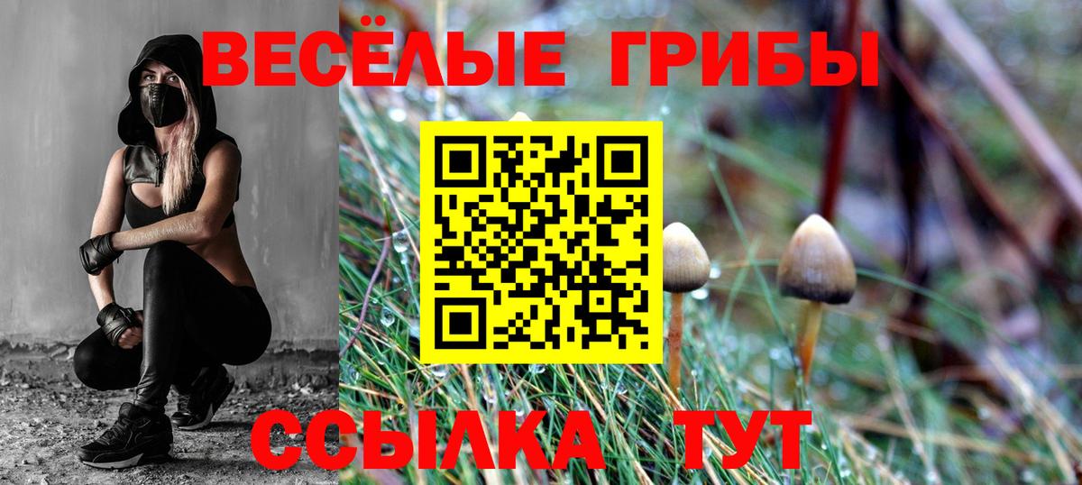 Галлюциногенные грибы MAGIC MUSHROOMS Зима