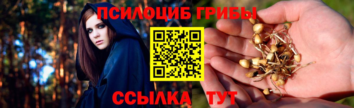 Зима  магазин    Псилоцибиновые грибы прущие грибы  Вход с VPN  Галлюциногенные грибы Psilocybine cubensis 